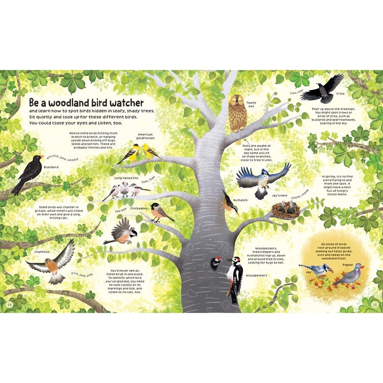 Woodland Book: Usborne features an illustrated guide with a tree and labeled woodland birds, encouraging nature exploration with tips on bird watching.
