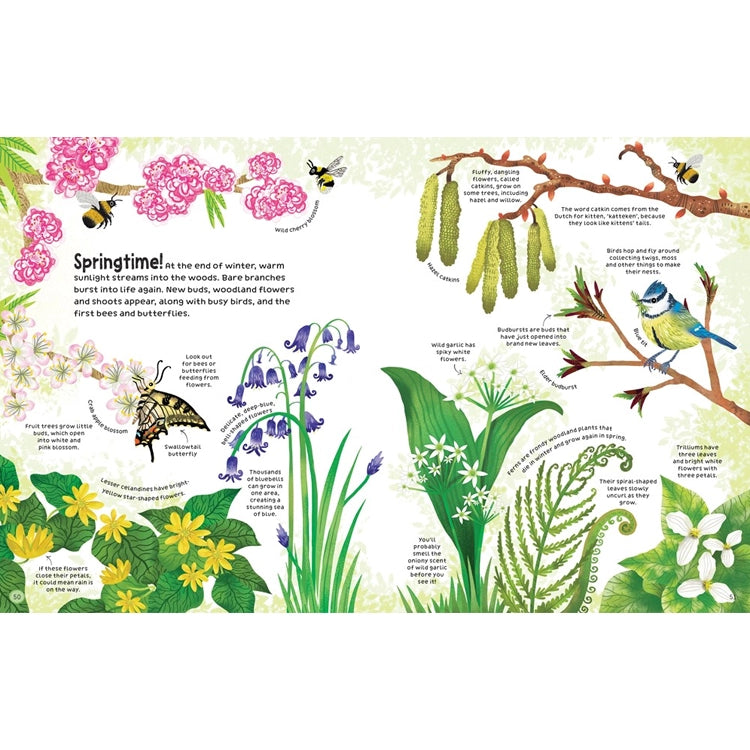 Illustrated Springtime! spread from The Woodland Book: Usborne, featuring flowering trees, wildflowers, insects, and birds with labeled educational text on woodland springtime wonders.