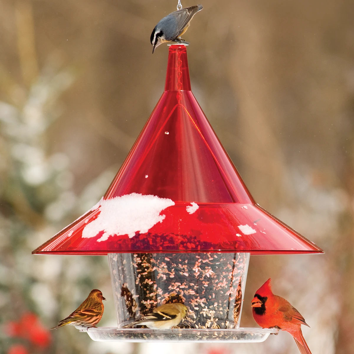Arundale Ruby Sky Cafe bird feeder with snow, hosting a goldfinch, pine siskin, cardinal, and nuthatch. Features a red roof, wide seed tray, and anti-squirrel design.