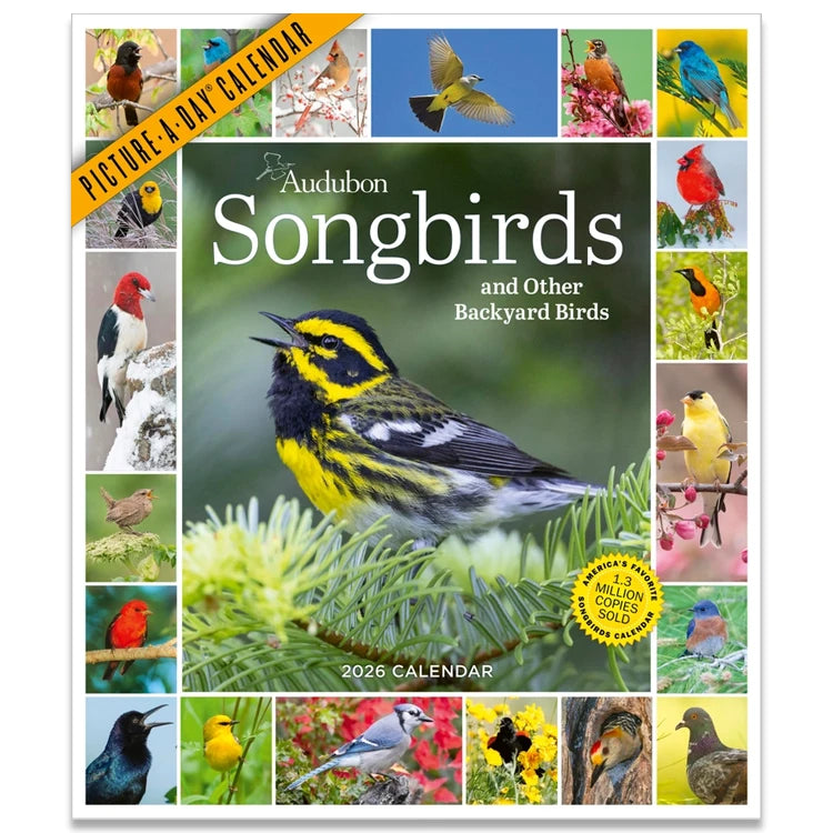 Audubon Songbirds Picture-A-Day Wall Calendar 2026 cover showing a Townsend's Warbler and thumbnail photos of colorful backyard birds, highlighting vibrant bird photography.