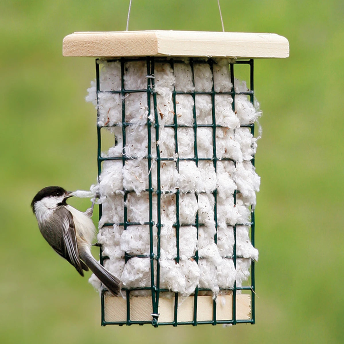 Duncraft Hanging Nesting Basket with a chickadee extracting soft cotton fiber for nest building, featuring a wire cage and wooden roof.