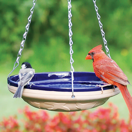 Hanging Blue Ceramic Bird Bath with chains.