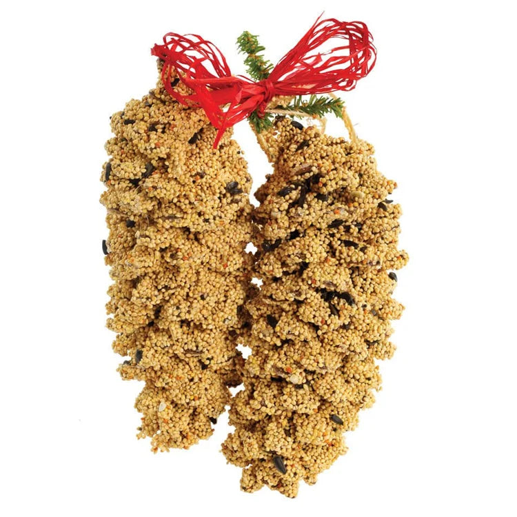 Wild Bird Seed Pinecone Pair featuring two seed-coated pine cones tied with red raffia for easy hanging, perfect for feeding and gifting.