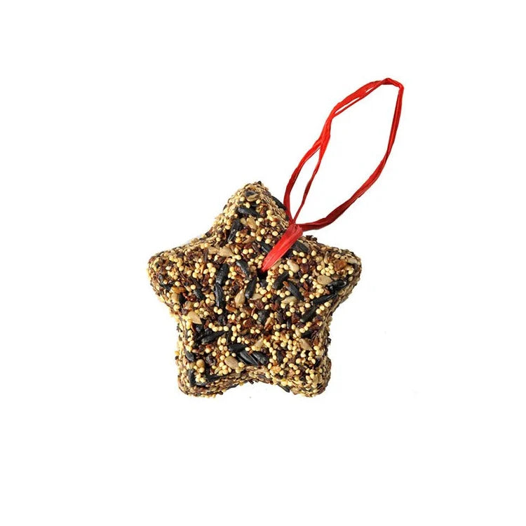 Little Wild Bird Seed Star: Star-shaped bird feeder made of assorted seeds and nuts with a red raffia hanger, perfect for gifting and easy hanging.