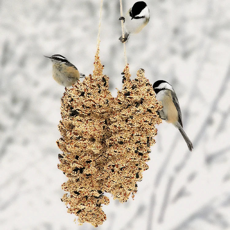 Wild Bird Seed Pinecone Pair with chickadees feeding on two seed-coated pine cones, designed for easy hanging and reuse, perfect for holiday gifting.