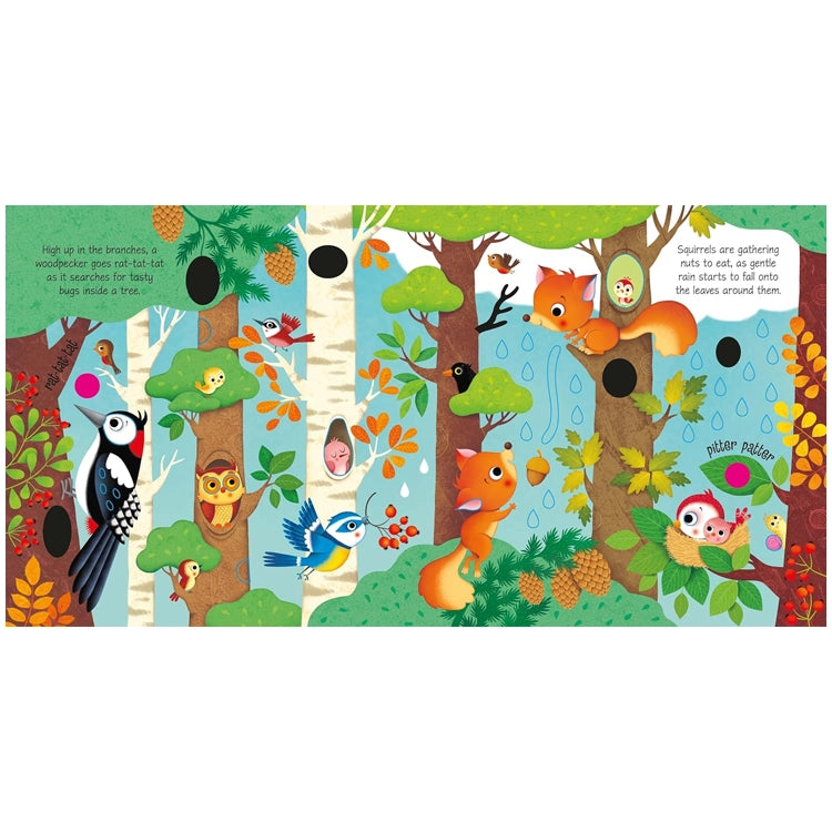 Woodland Sounds by Sam Taplin: Illustrated spread with a woodpecker, owl, songbird, squirrels, and raindrops, showcasing engaging nature scenes from the interactive sound book.