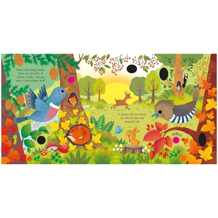 Woodland Sounds: Sam Taplin board book spread showing sunlit forest with fox, birds, deer, and rabbit, designed with sound holes for interactive animal calls.