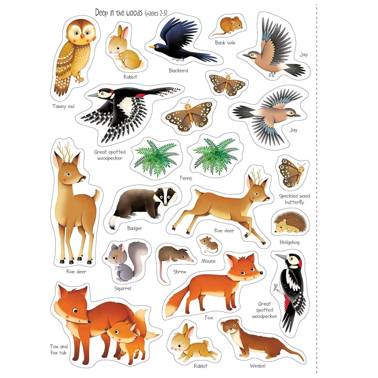 First Sticker Book Nature: Illustrated woodland creatures and plants, ready as stickers, including birds, mammals, and insects, inspiring exploration and learning in young naturalists.