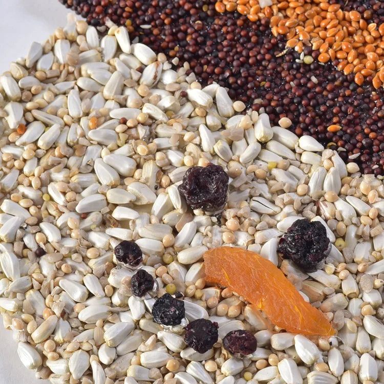 Frosty Christmas Cookie — Holiday Seed “Cookie” for Birds: Wooden base with premium seeds, dried apricot nose, blueberry eyes, red raffia hanger, festive bird treat.