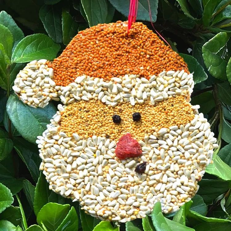 Holiday Bird Seed Cookie, Santa: Santa-shaped bird feeder with seed-covered wooden face, red raffia hanger. Features millet beard, strawberry nose, blueberry eyes, and raisin mouth.
