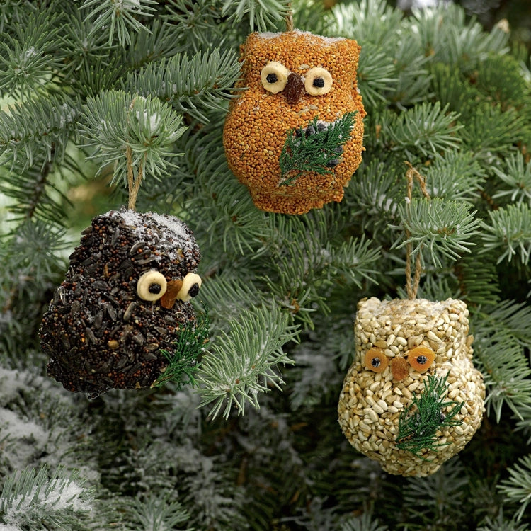Three owl-shaped bird seed ornaments hanging from snow-dusted evergreen branches, offering a festive and nutritious treat for backyard birds.