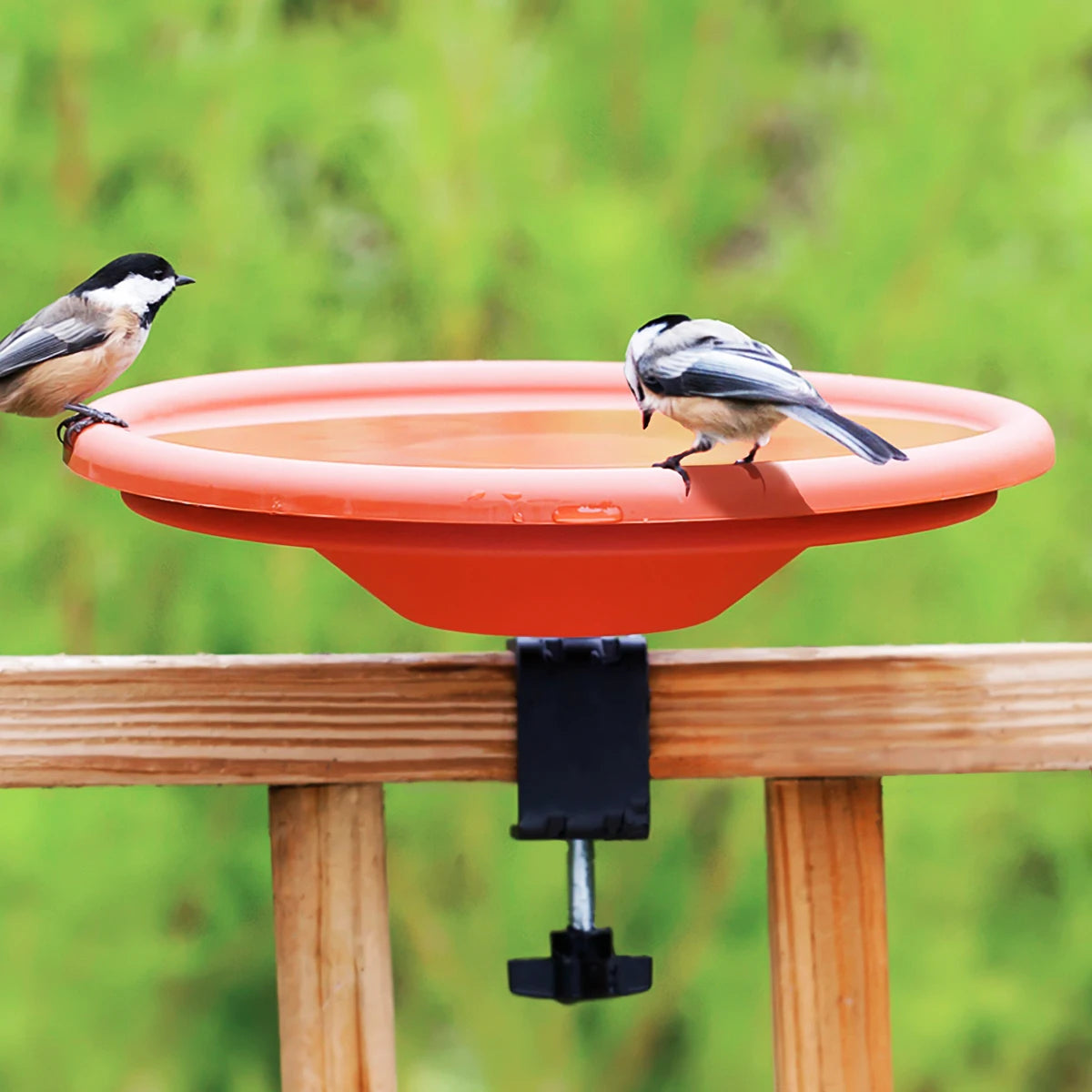 Deck Mount Bird Bath clamped to a deck railing with two chickadees perched, highlighting the adjustable clamp and space-saving design for offering fresh water.