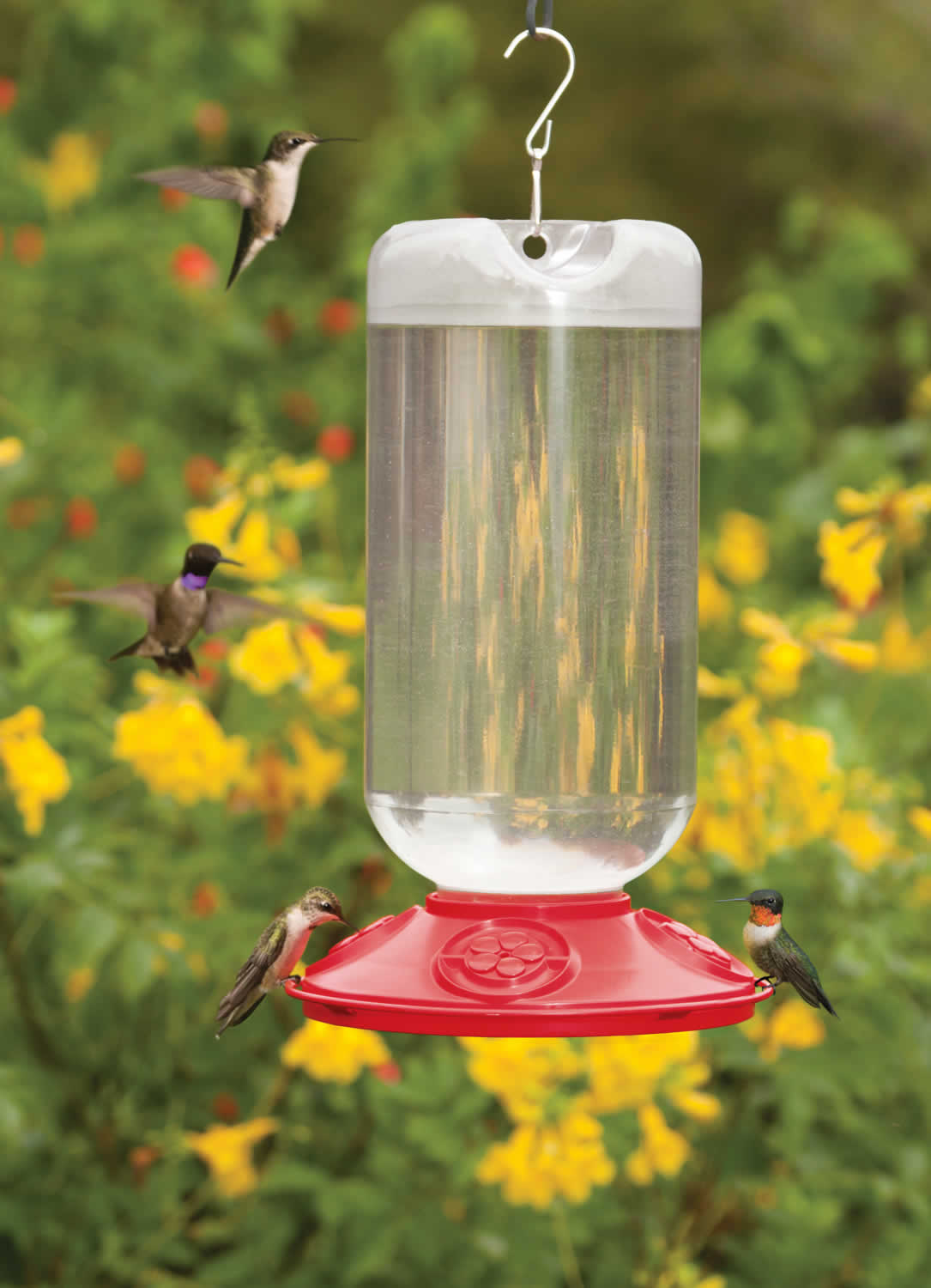 Dr. JB's Hummingbird Feeder 80oz – Duncraft Dr. JB's Hummingbird Feeder 80oz – Duncraft