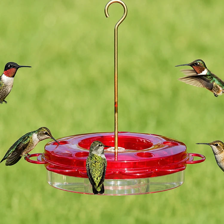 12 oz. Hummerfest Hummingbird Feeder with multiple feeding ports, hosting five hummingbirds, features rain overflow, ant moat, and clear basin for easy nectar viewing.