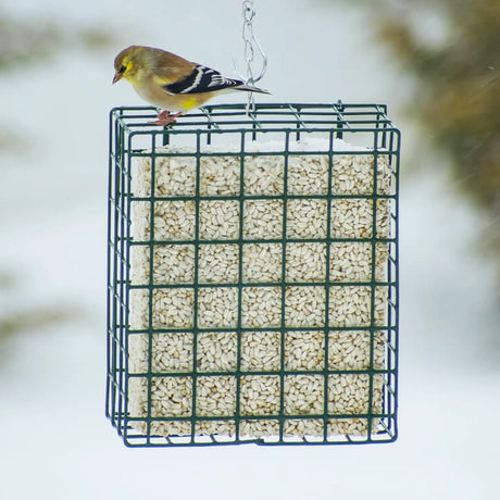 Mr. Bird Large Seed & Suet Block Cage with chain, filled with seeds, supports an American goldfinch perched on top, showcasing its durable wire-cage design.