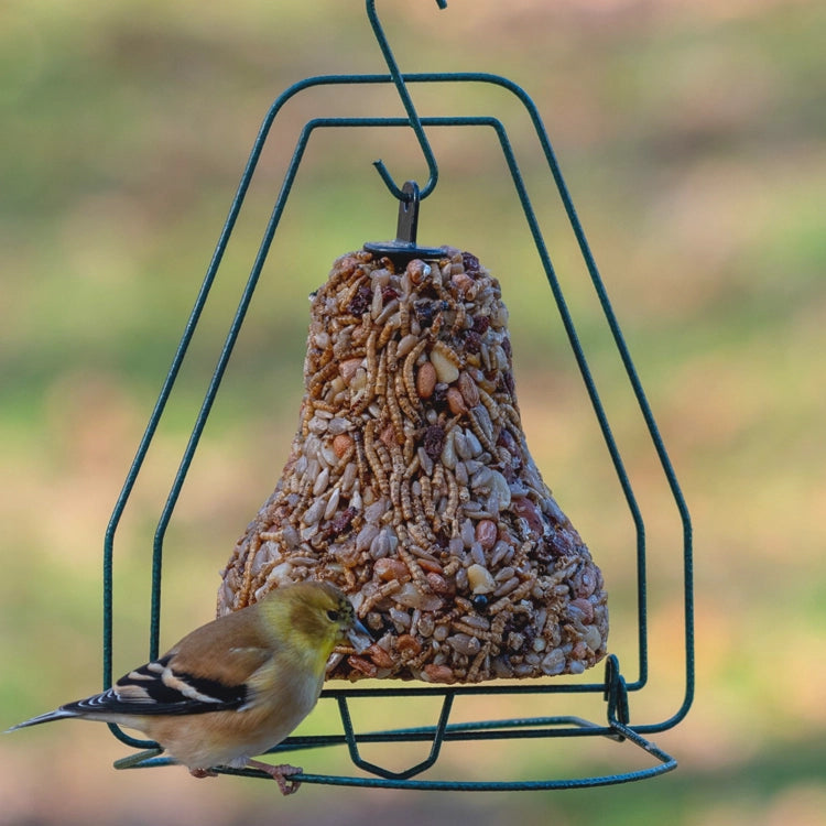 American goldfinch perched on a Mr. Bird Seed Bell Hanger feeding from a seed bell.