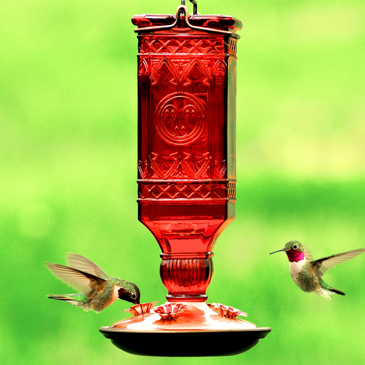 Red Square Antique Bottle Feeder with two hummingbirds at flower-shaped ports, featuring a sparkling red glass design and brushed copper base for easy cleaning.