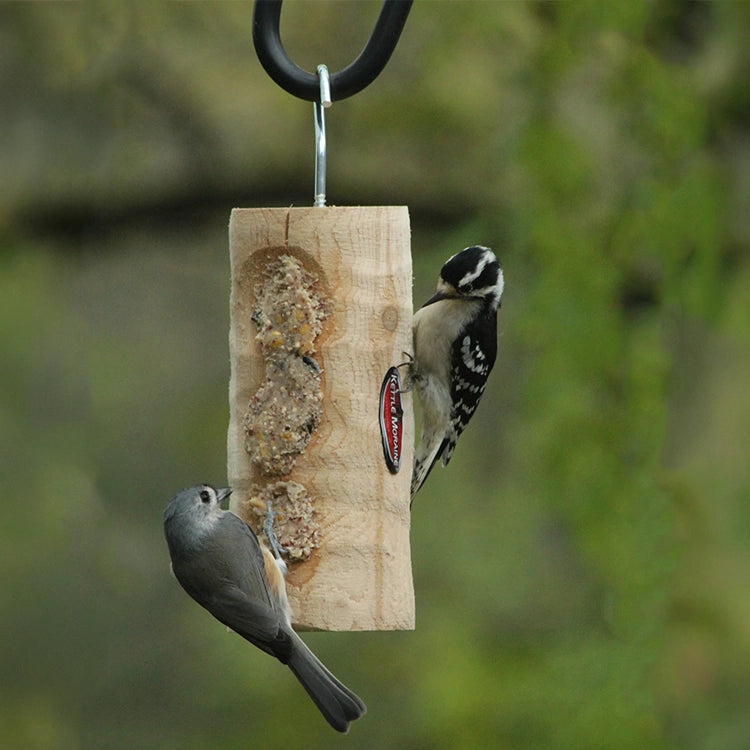Woodpecker and songbird using a natural log suet feeder in a backyard setting.