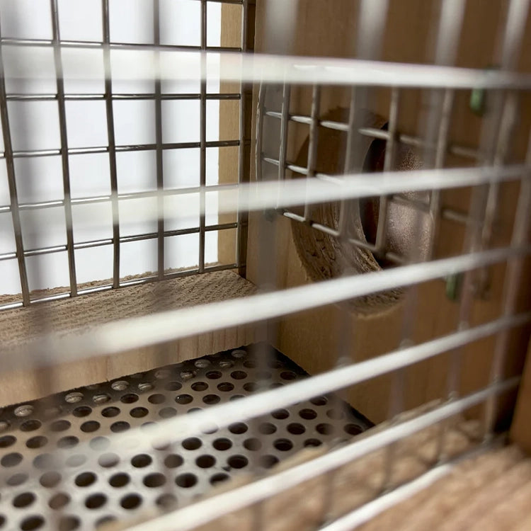 Interior view of a sunflower seed feeder showing wire mesh panels and perforated metal seed tray.