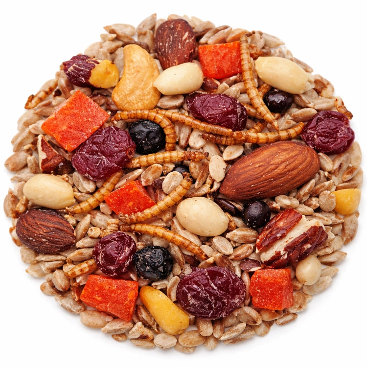 Duncraft Nuts & Bugs Wild Bird Seed, 5-lb bag, featuring a mix of split peanuts, sunflower chips, suet nuggets, raisins, cranberries, papaya.