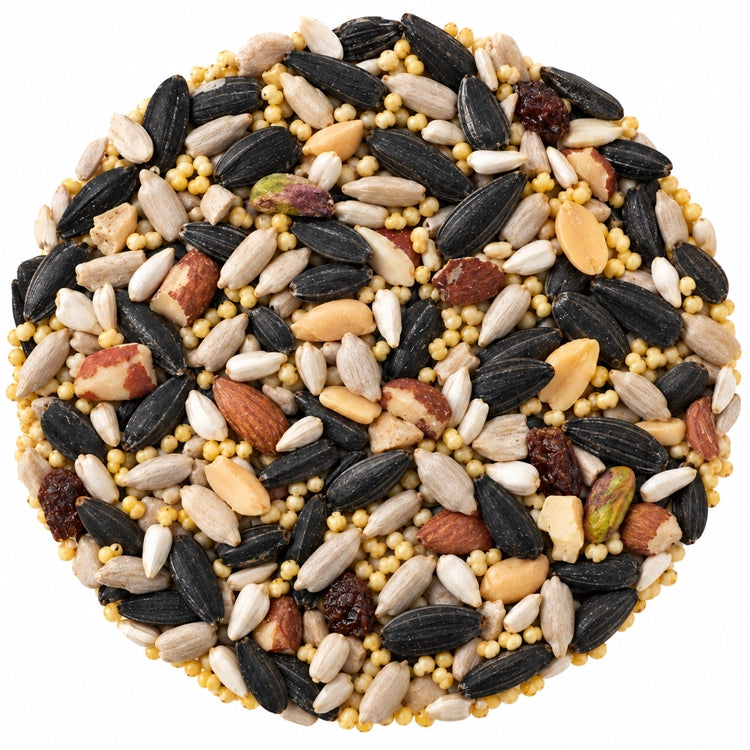 Duncraft All Season Blend Wild Bird Seed, 5-lb bag featuring a mix of nuts, seeds, and dried fruits for attracting diverse birds.