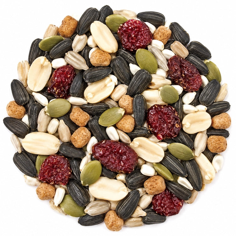 Duncraft Seasonal Feast Wild Bird Seed, 5-lb bag, featuring a mix of nuts, seeds, and fruits for attracting diverse bird species to your feeder.