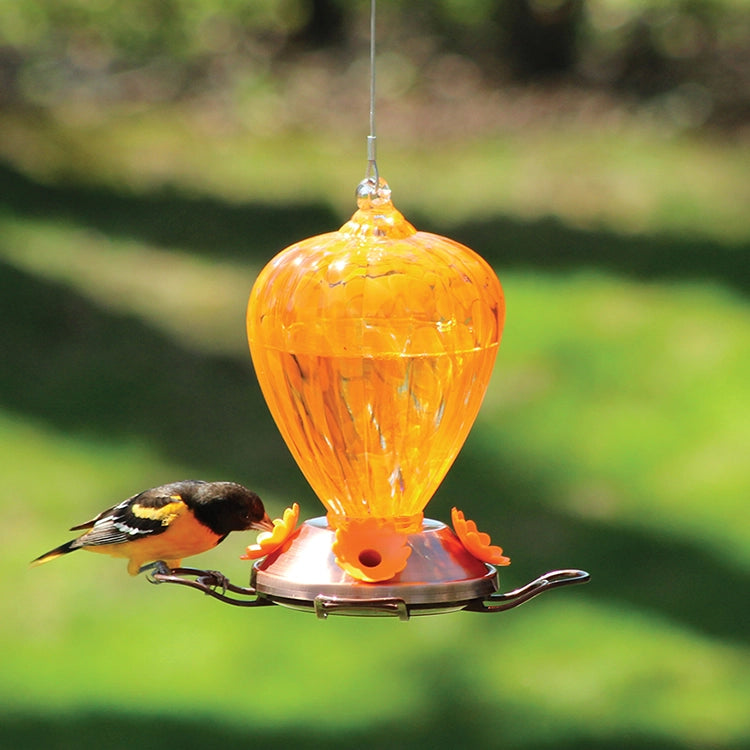 Art Glass Oriole Feeder with orange glass design and copper base, shown with a bird feeding, highlighting its artistic appeal.