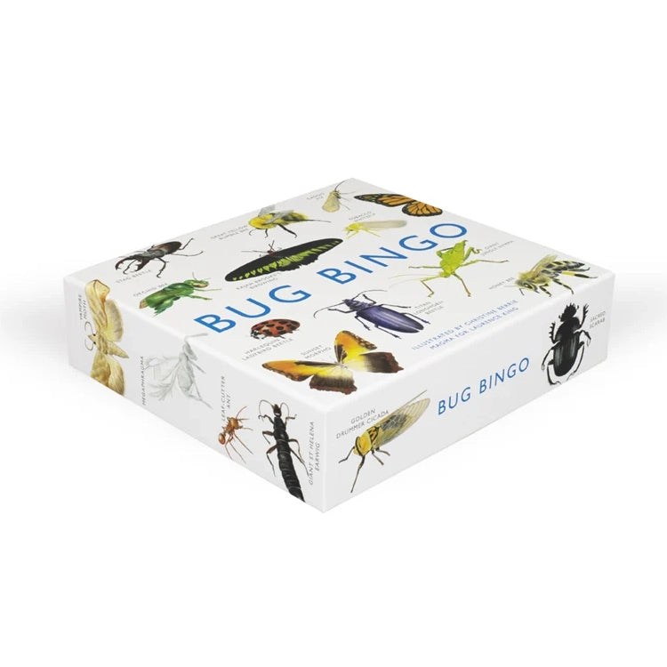 Boxed game BUG BINGO with watercolor insect illustrations and names on the cover, including monarch butterfly and ladybug.