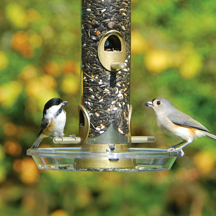 Aspects Round Seed Tray attached to bird feeder, catching scattered seed. Two birds perched on the feeder, utilizing built-in perching space.
