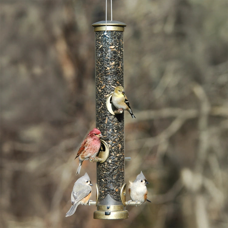 Aspects Antique Brass 6 Port Tube Feeder with birds perched, showcasing its clearview tube and six feeding ports designed for easy cleaning and minimal seed waste.