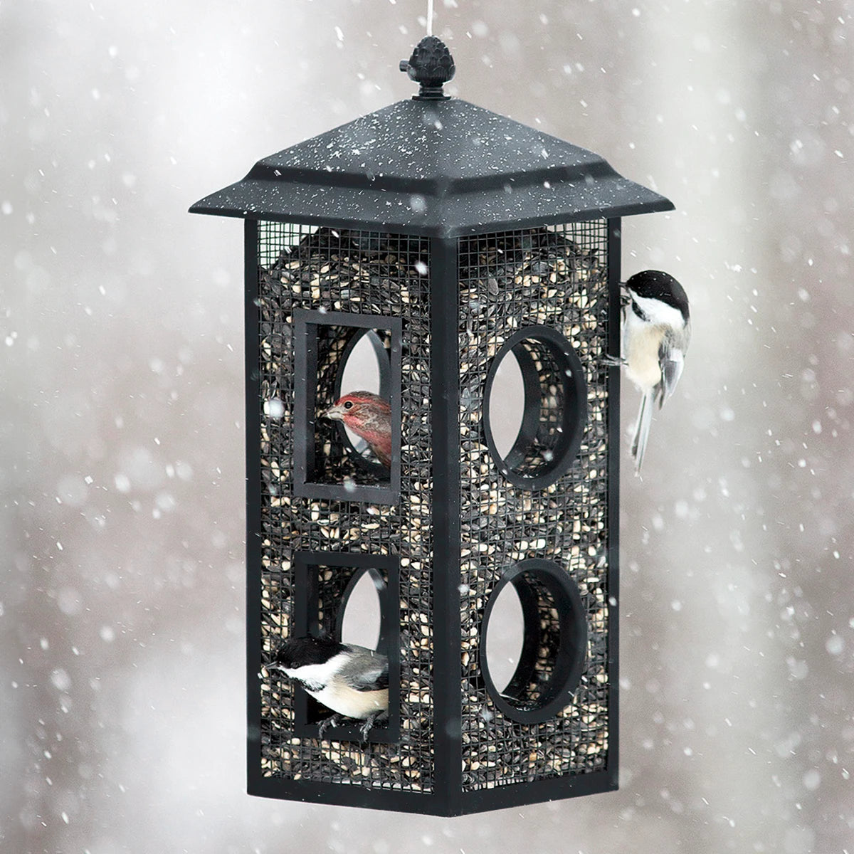 Fly Thru Mesh Wild Bird Feeder with chickadees and finch, featuring metal mesh sides for perching, protective roof, and two fly-through openings.