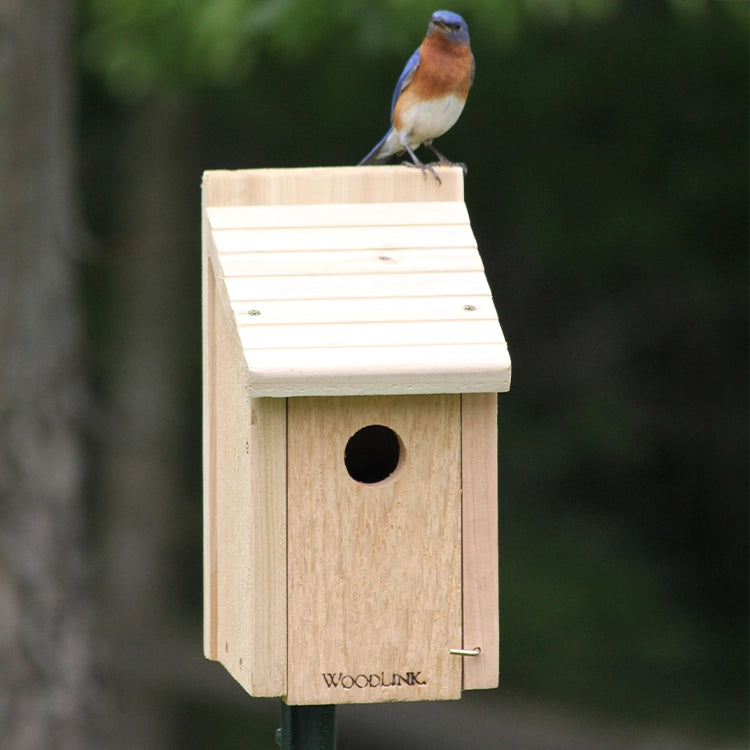 Wooden Bluebird house with a bluebird perched on top and a green tree background.