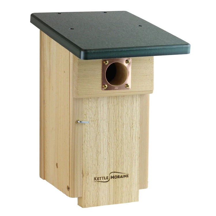 Cedar bluebird nest box featuring a green recycled plastic roof and predator protection.