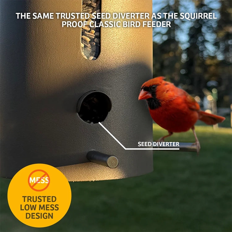 Cardinal perched on the Bear Proof Bird Feeder beside a feeding port, highlighting the low-mess seed diverter.