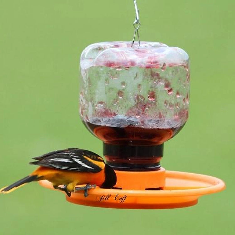 Switch N Swap 32 oz. Jelly Feeder with inverted jelly jar, bright orange no-drip base, and four feeding ports, designed for easy cleaning and optimal oriole feeding.