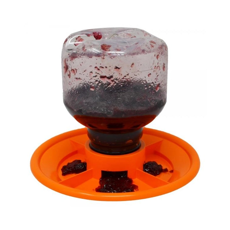 Switch N Swap 32 oz. Jelly Feeder with an inverted jar, bright orange base, four feeding ports, and a hook for hanging. Designed for orioles' optimal jelly-eating experience.