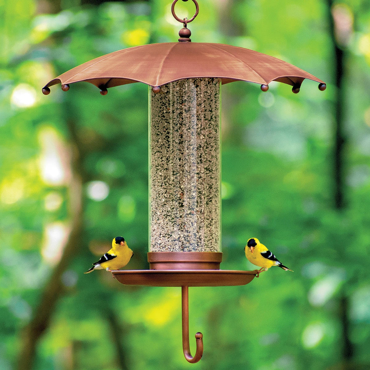 Rainy Day Umbrella Bird Feeder with copper roof, heavy-duty plexiglass tube, and two goldfinches on tray, set against blurred outdoor foliage.