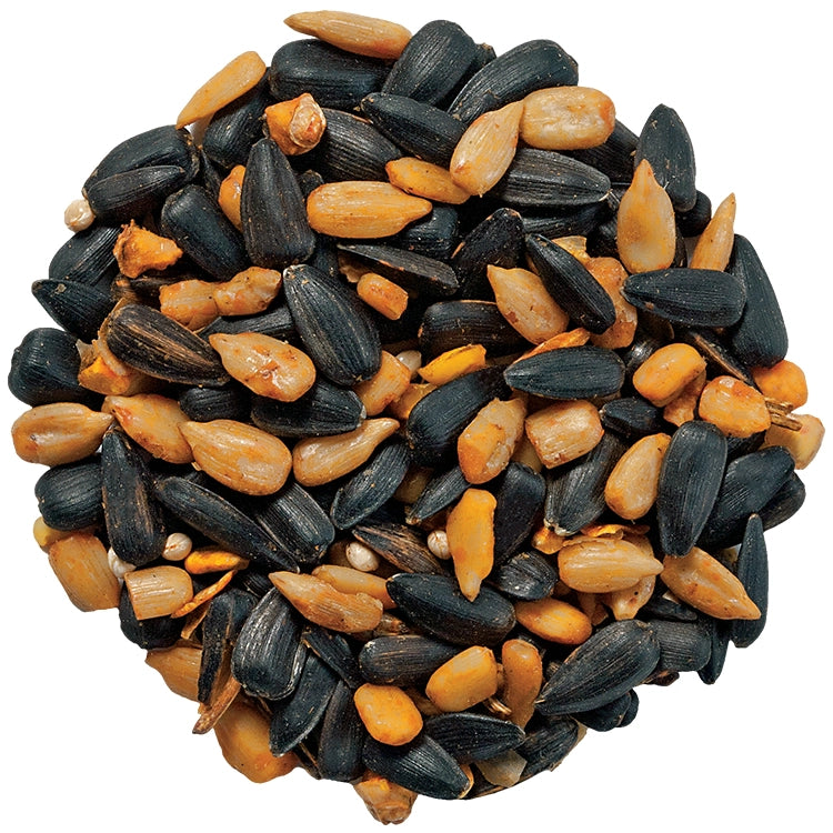 Cole's Blazing Hot Blend Wild Bird Seed, 5, or 10-lb bag, featuring a pile of sunflower seeds, perfect for attracting birds and deterring squirrels.