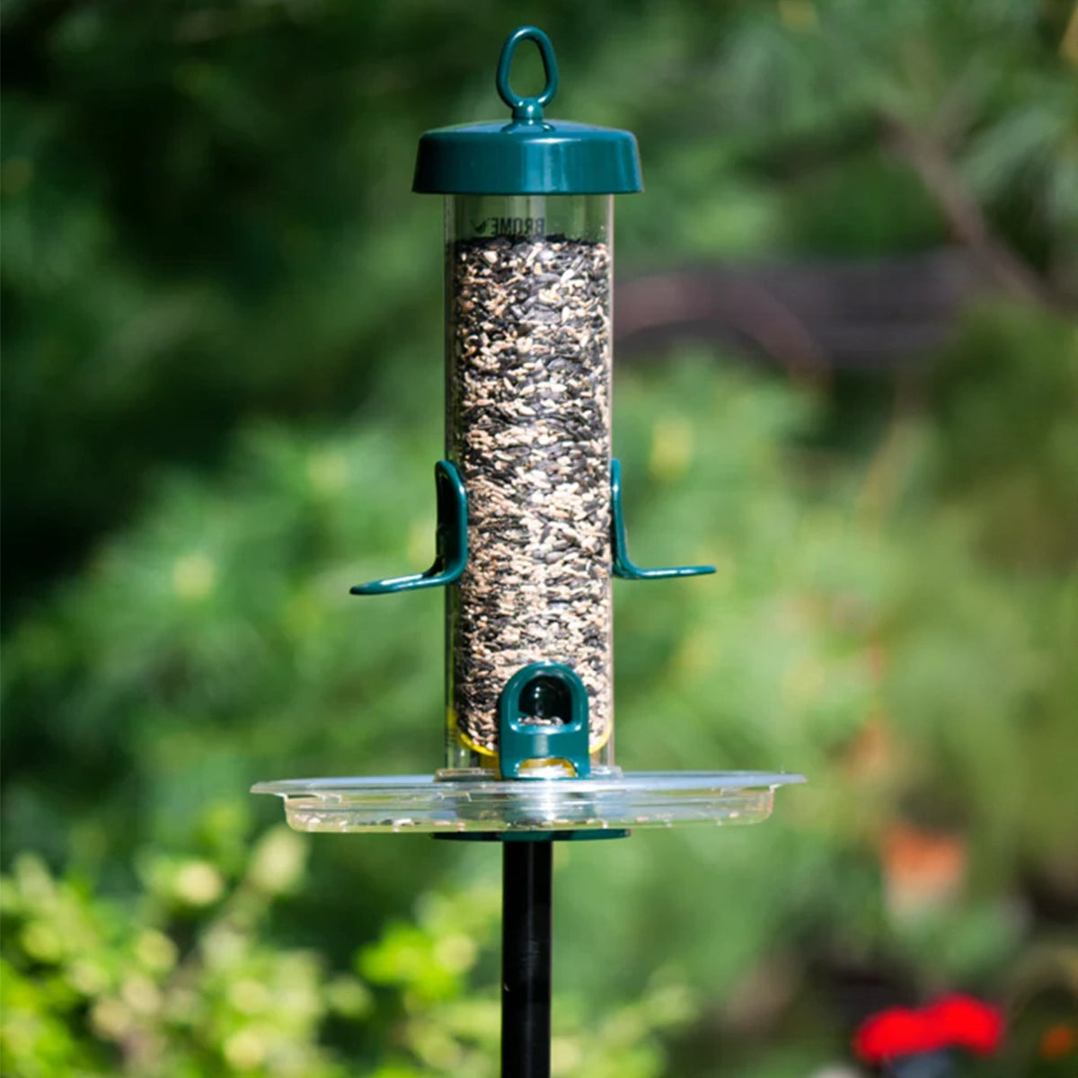 Brome Tube Solution 150 Podium Kit: A chew-proof bird feeder with seeds, featuring detachable components, ventilation for freshness, and UV resistance, ideal for attracting wild birds.