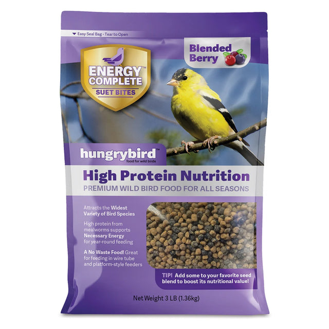 Energy Complete Blended Berry Suet Bites bag featuring a yellow bird image, ideal for bird feeders, offers high-energy, no-melt, no-waste suet morsels.
