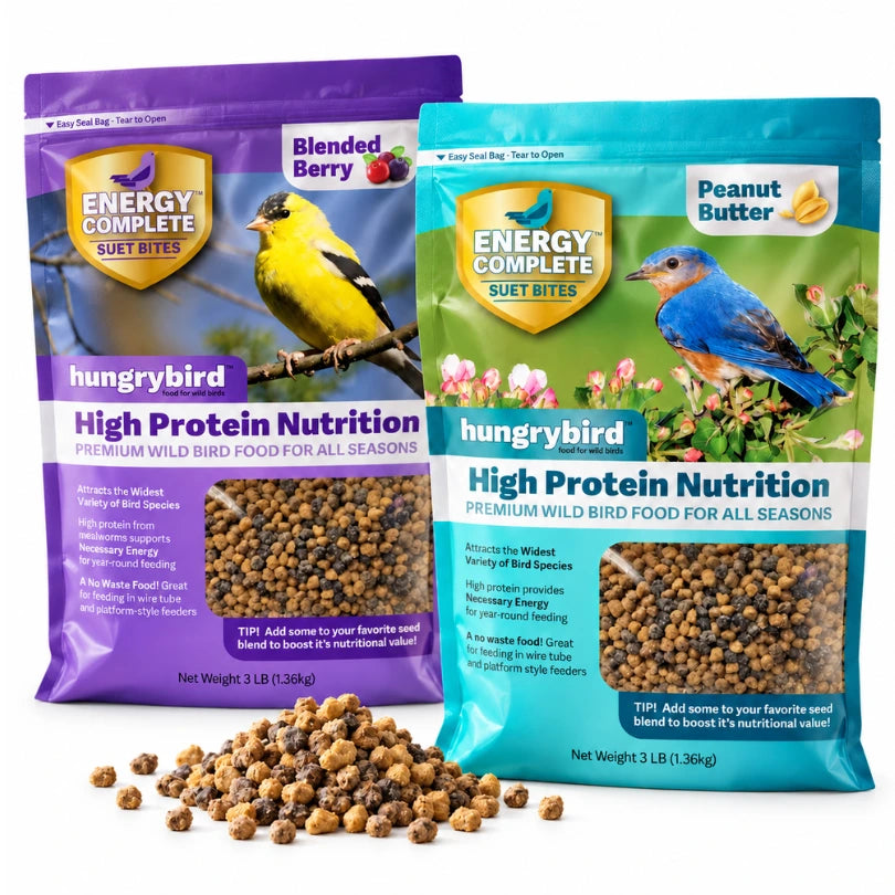 Hungrybird Blended Berry and Peanut Butter suet bites bundle, two 3 lb bags with loose bites in front.