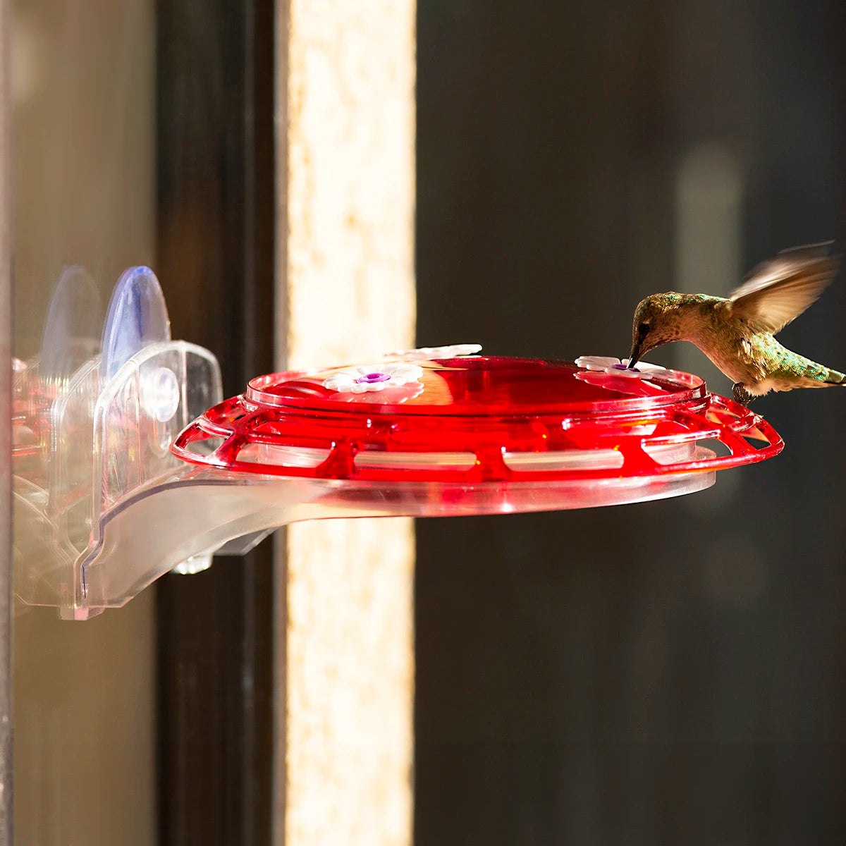 3-in-1 Hummingbird Feeder suction-mounted on a window with a hummingbird drinking nectar from a red flower-shaped port, showcasing its versatile mounting design.