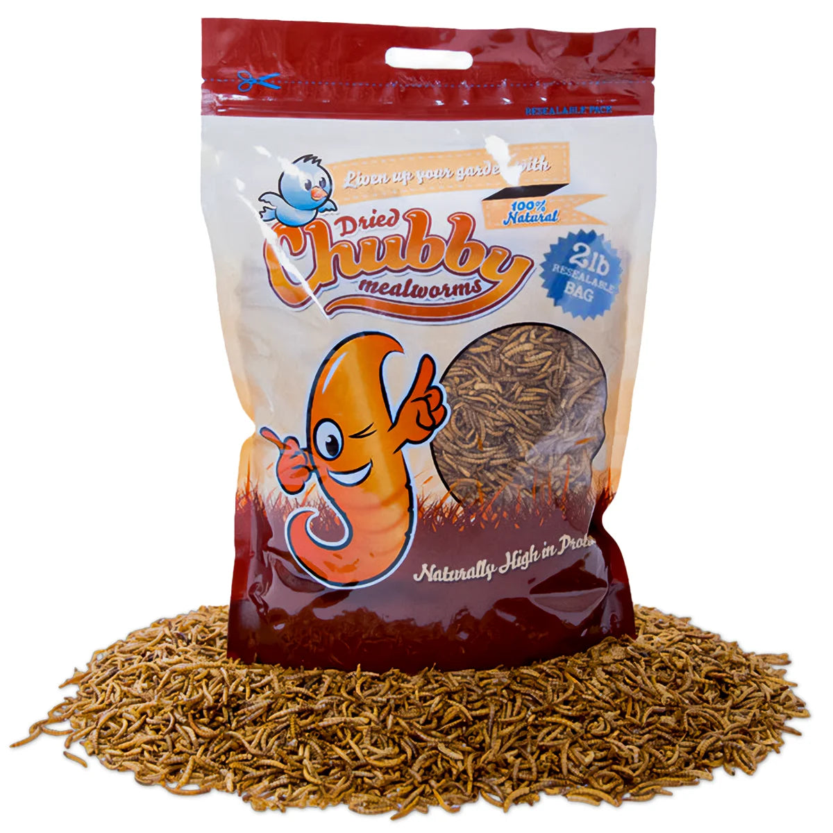 Chubby Dried Mealworms, 2-lb Bag, placed on dried grass; ideal high-protein snack for birds, reptiles, and more, with easy storage and resealable packaging.