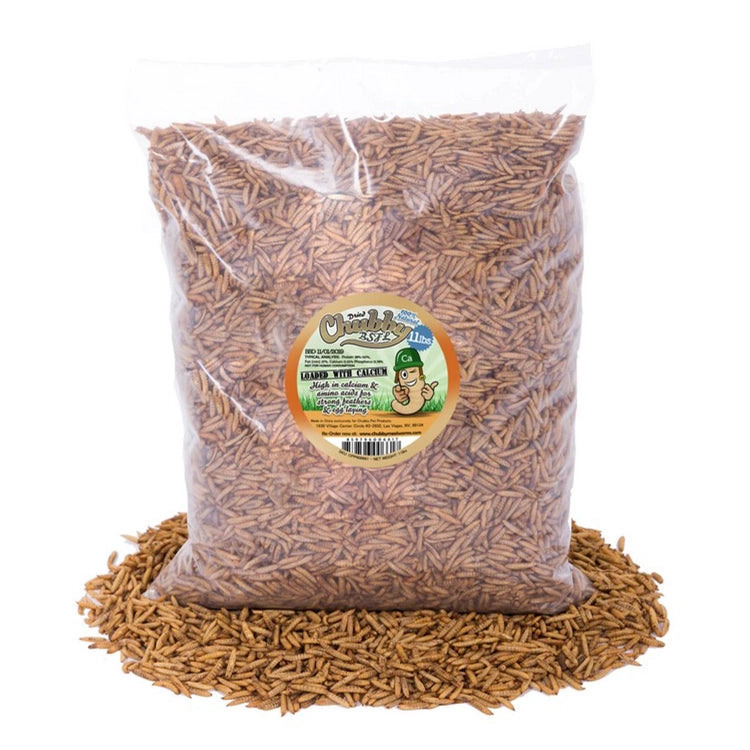 Chubby Dried Black Soldier Fly Larvae, 11-lb. Bag; a nutritious superfood for birds, enhancing bone and feather health with high calcium content.