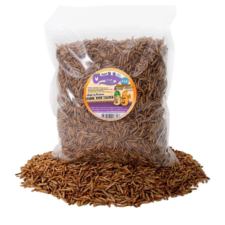 Chubby Mix Mealworm & Black Soldier Fly Larvae, 2-lb Bag, showcasing dried insects for bird nutrition, emphasizing protein and calcium benefits. Package close-up included.