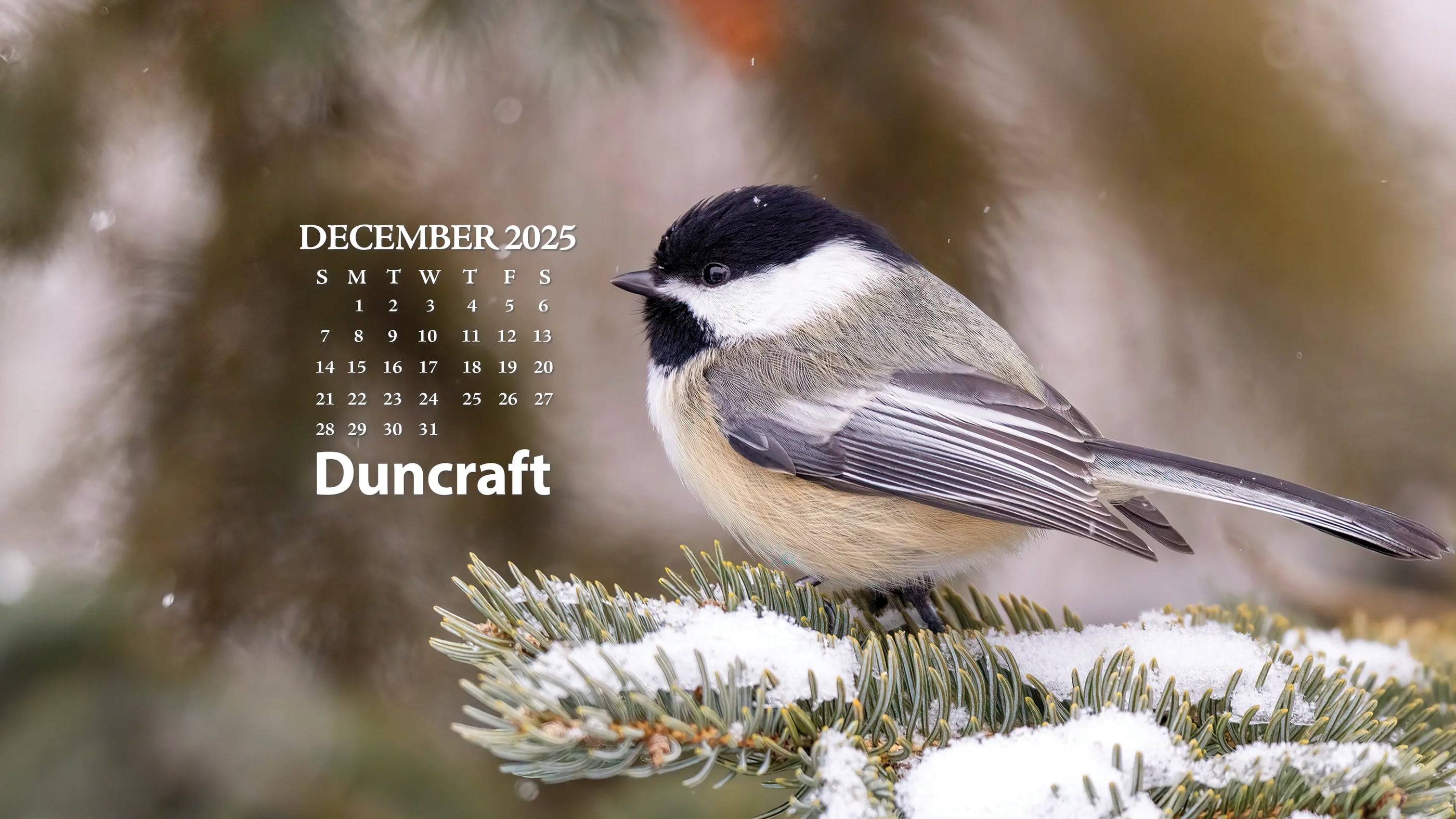 Bird on a branch with a December 2025 calendar in the background