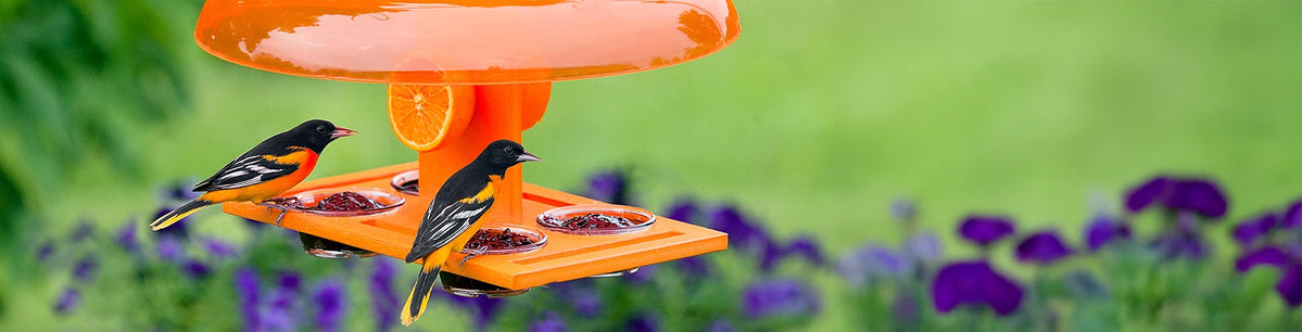 New arrivals collection of bird feeders and houses from Duncraft - trusted by bird enthusiasts since 1952.