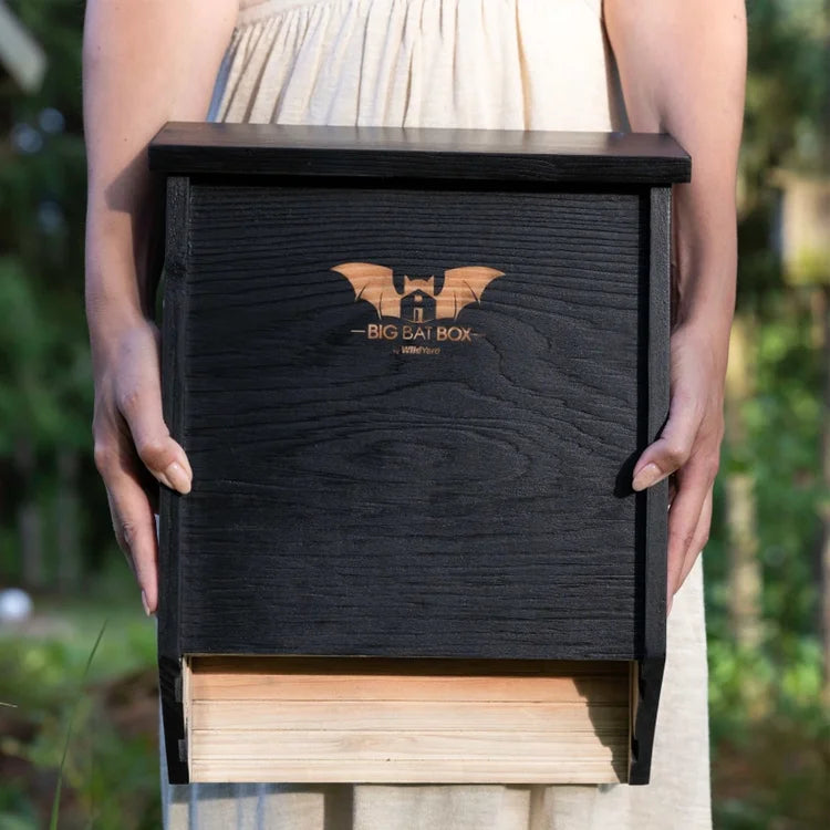 Person holding Two-Chamber Bat House, Black, featuring a bat logo, slatted landing area, and grooved interior, designed for outdoor bat roosting.