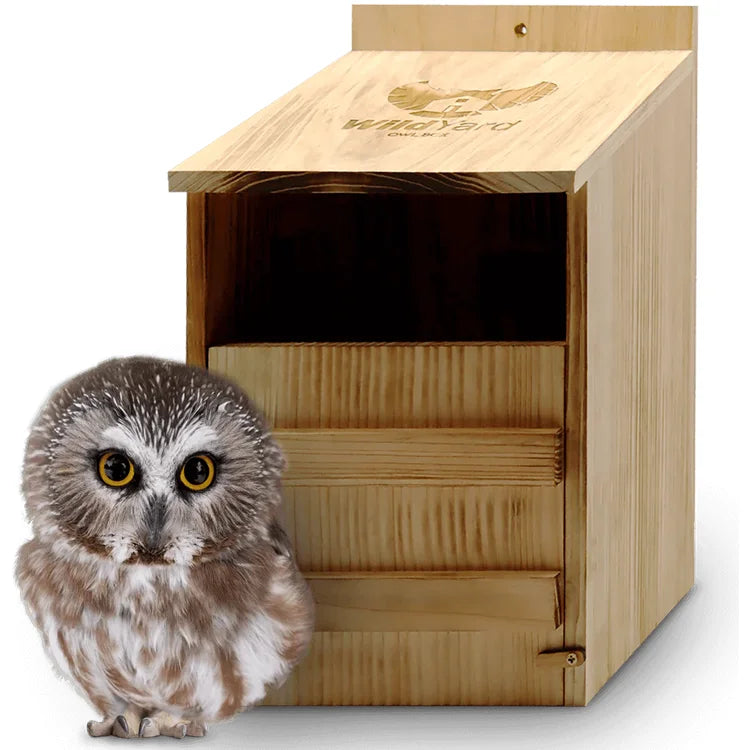 Owl Box for Gardens beside a small owl, showcasing a durable, weather-resistant nesting box designed for easy maintenance and supporting local owl populations.
