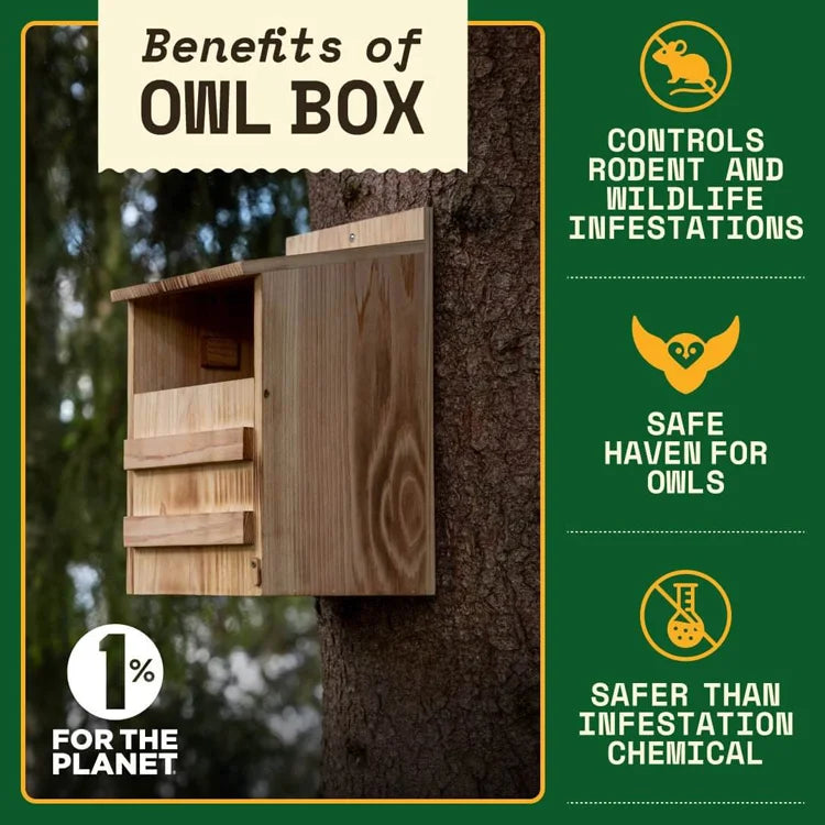 Owl Box for Gardens: Wooden nesting box on a tree, highlighting its benefits—controls rodents, safe haven for owls, chemical-free. Promotes eco-friendly, durable owl habitats.